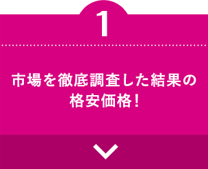 市場を徹底調査した結果の格安価格